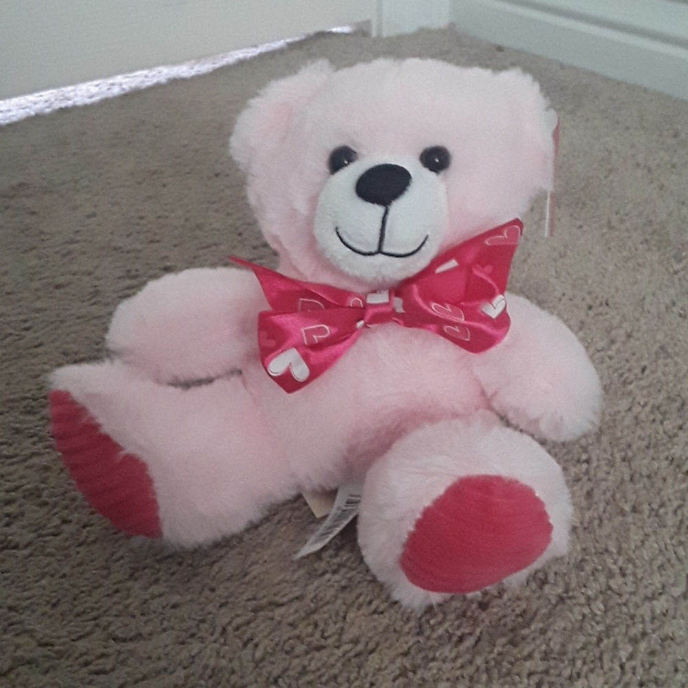 Teddy Bear Plush Stuffed Animal, Pink, NWT